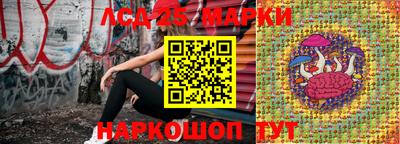 гидра Нальчик