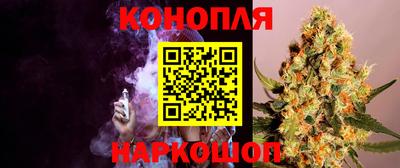 гидра Нальчик