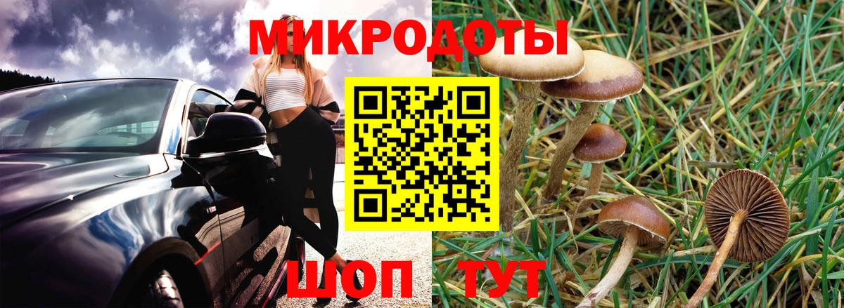 Галлюциногенные грибы GOLDEN TEACHER  где продают наркотики  Вход с VPN  Шадринск  Псилоцибиновые грибы Psilocybine cubensis 